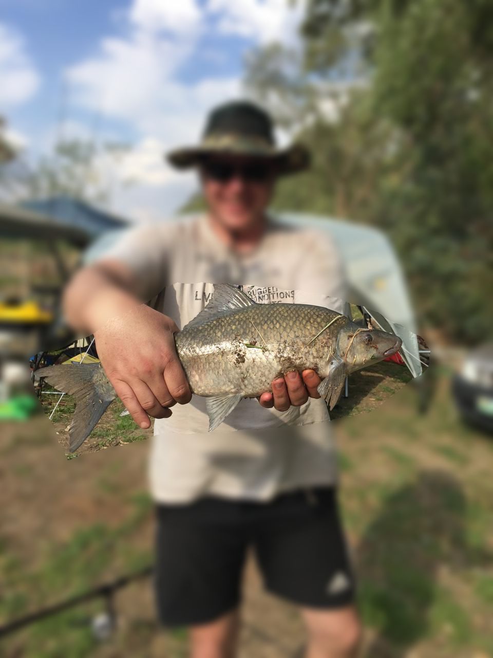 Parys Fishing Muddy Muddy Vaal Rivier